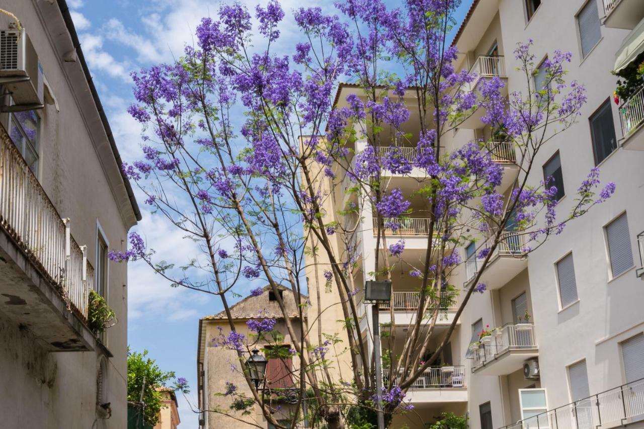 Sorrentovibes - Luxury Four Bedroom Home With Amazing Terraces In Sorrento Exterior photo
